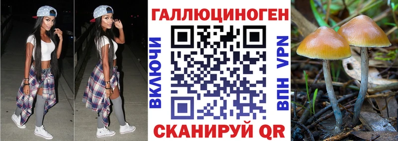 купить наркотик  Бикин  Галлюциногенные грибы ЛСД 