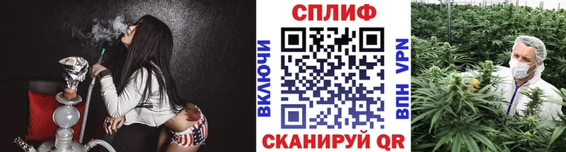 Канабис ГИДРОПОН Бикин